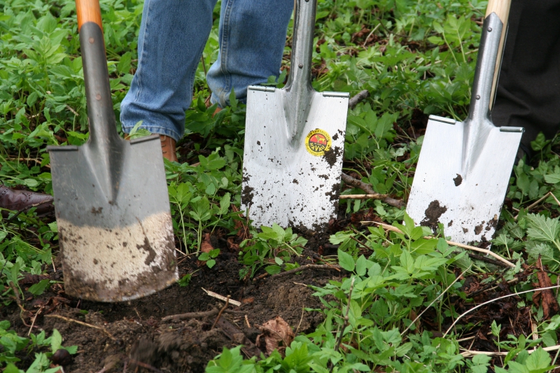 pepiniere-FORCALQUEIRET-min_work-lawn-flower-tool-green-backyard-1103633-pxhere.com